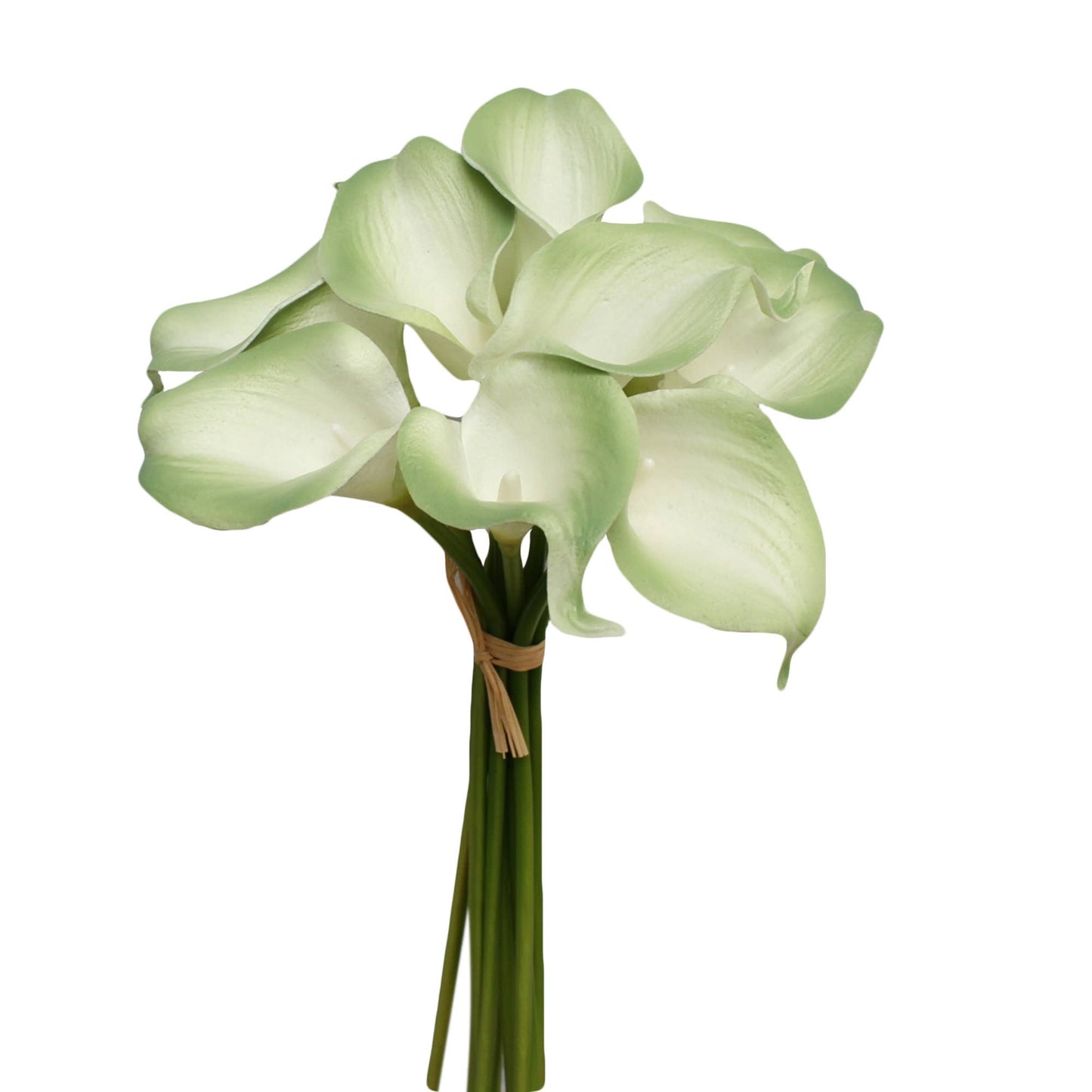 Pack of 10-real touch calla lily green color palette