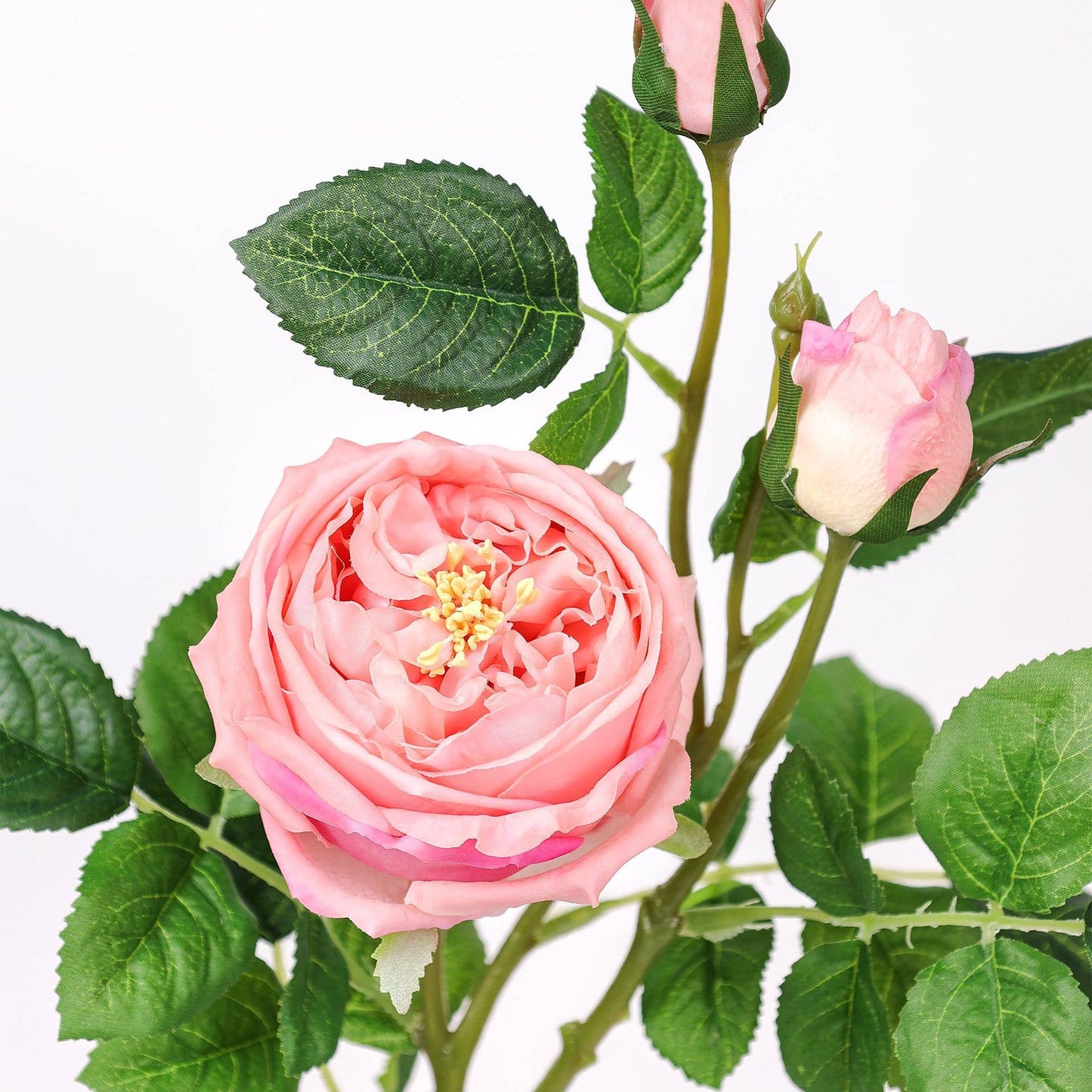 30" 3-Head Real touch English Austin Cabbage Rose Stem