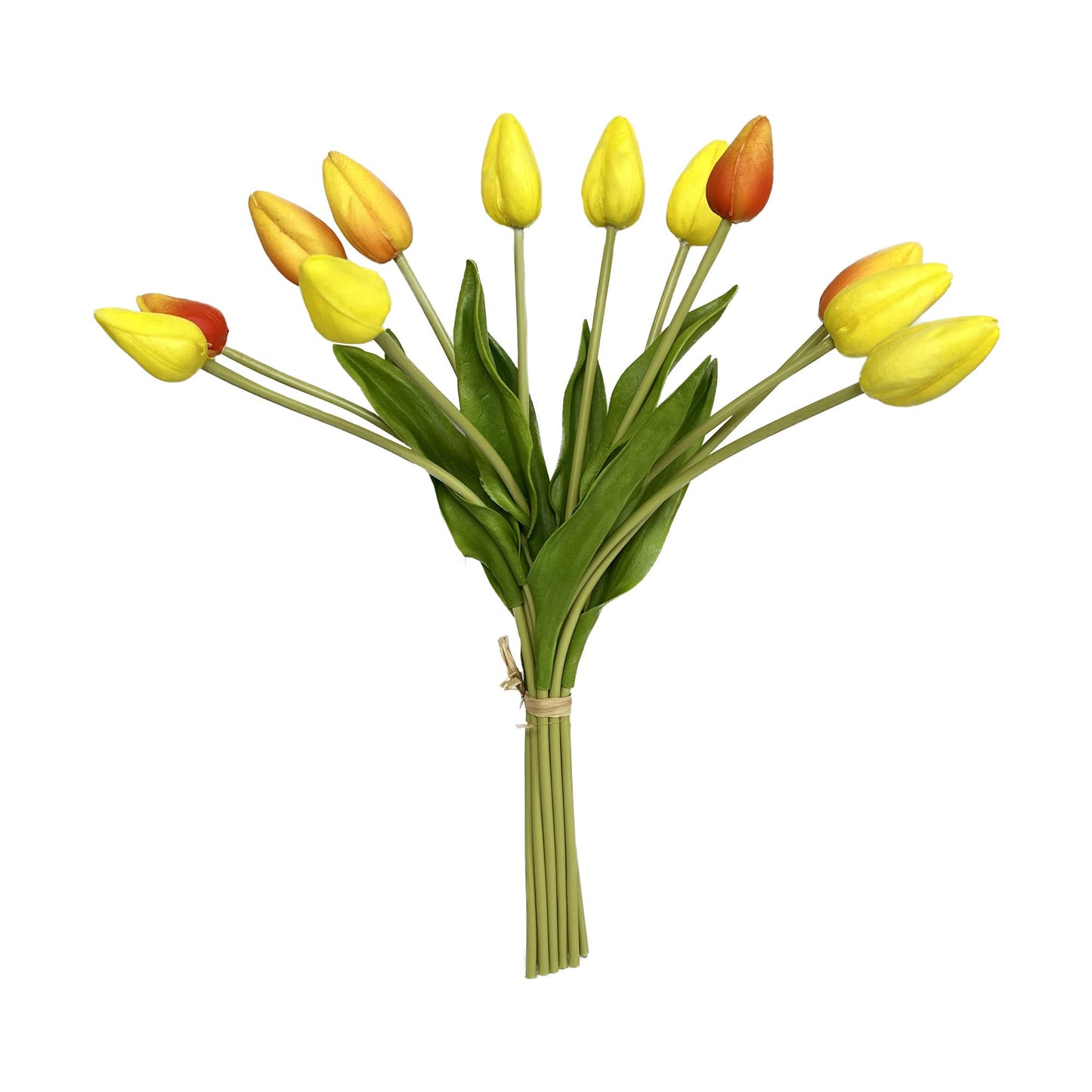 18"One Dozen-Long stem Real Touch Tulip Bud bouquet