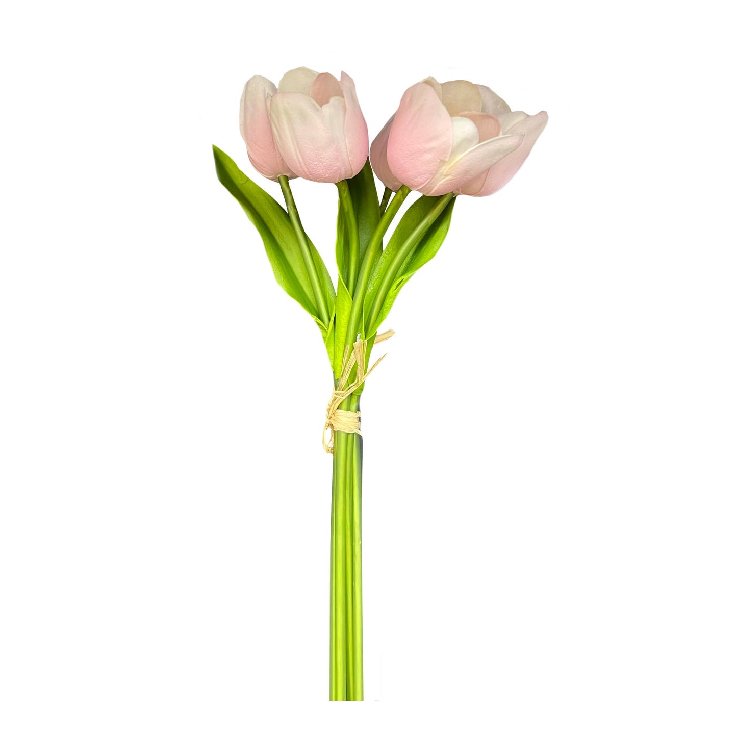 Pack of 5-stems Real Touch medium open tulip