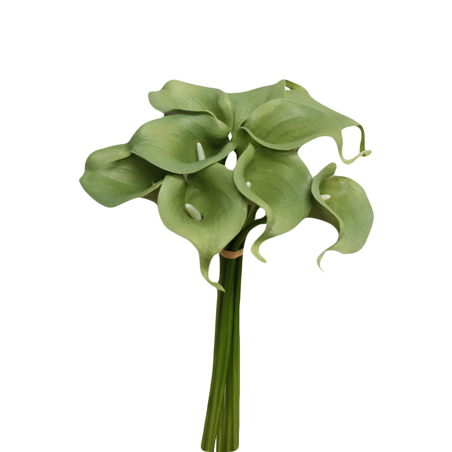 Pack of 10-real touch calla lily green color palette