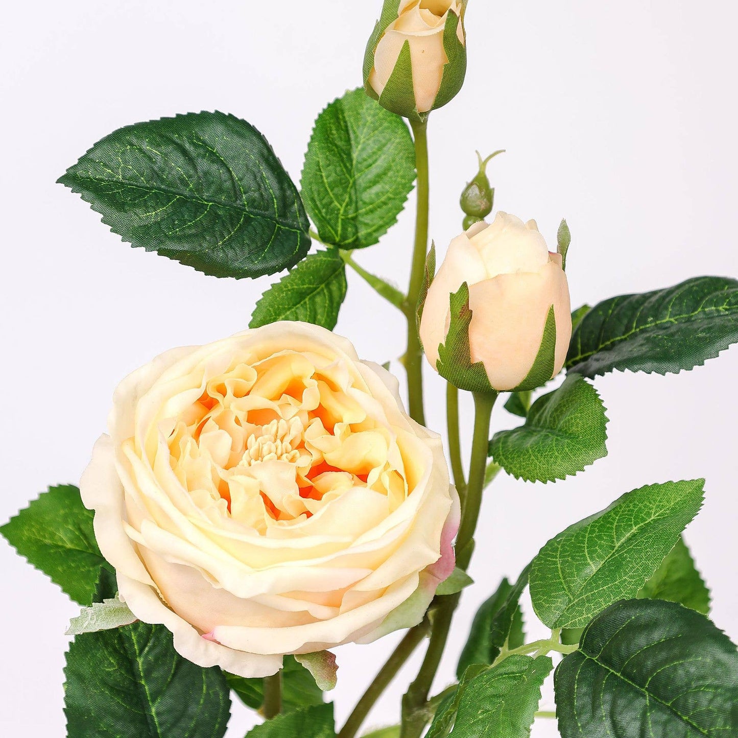 30" 3-Head Real touch English Austin Cabbage Rose Stem