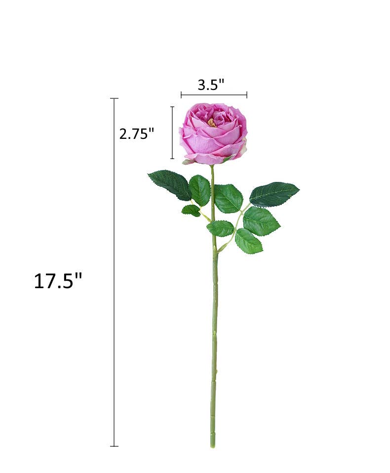 17" Premium Real Touch English Austin Cabbage Rose Stem