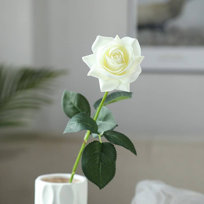 17"Medium bloom rose stem-Moisturized Coating Fresh-Cut Fee