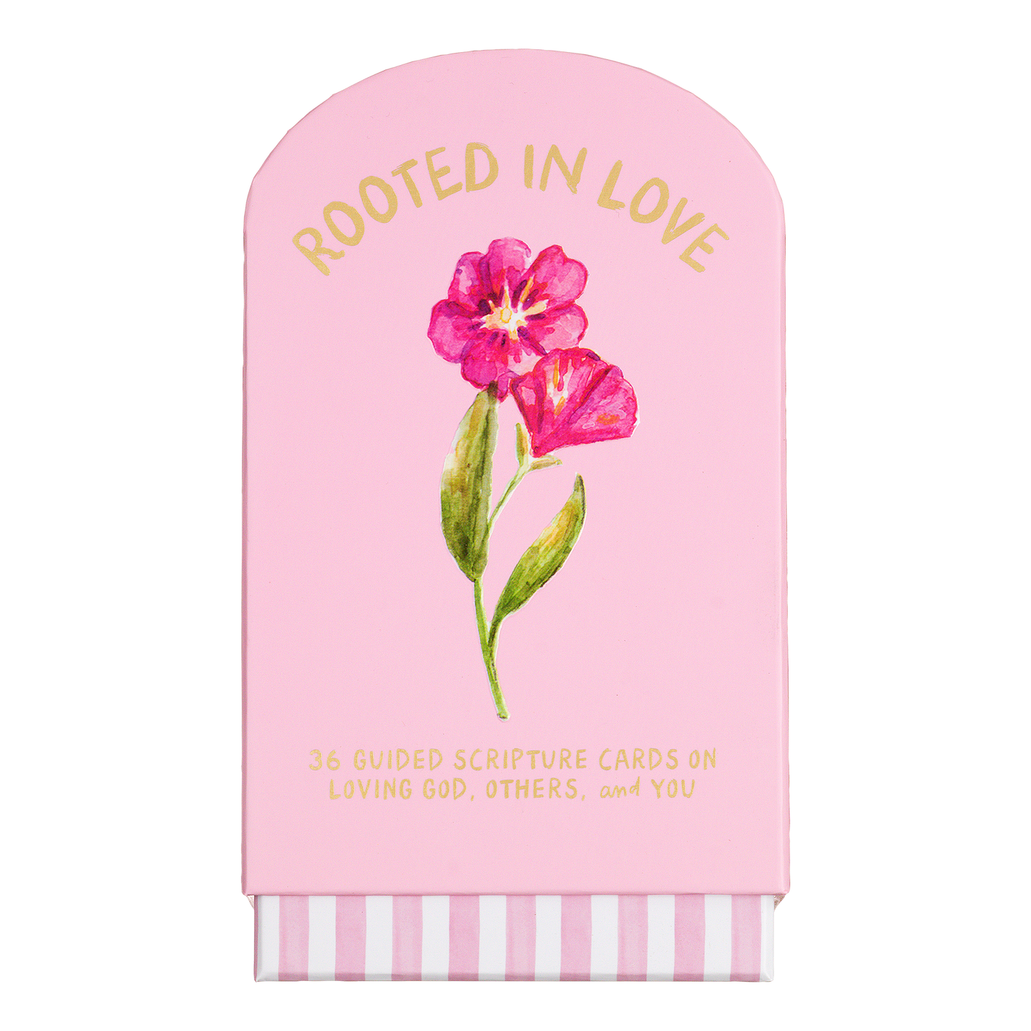 Faith Collection Guided Cards w/Stand Rooted in Love