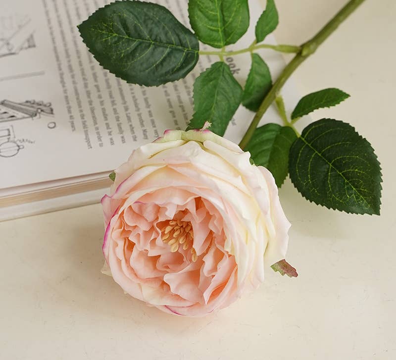 17" Premium Real Touch English Austin Cabbage Rose Stem
