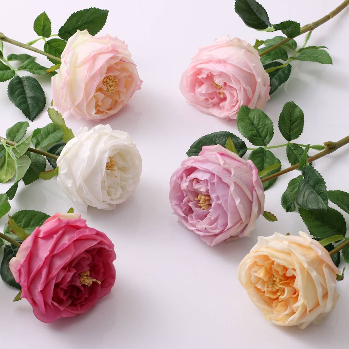 17" Premium Real Touch English Austin Cabbage Rose Stem