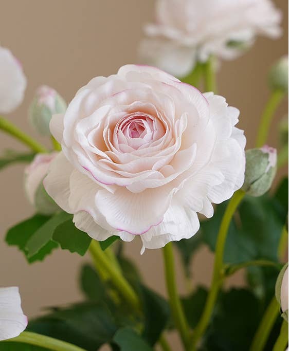 18" Real Touch Ranunculus with 2 Buds