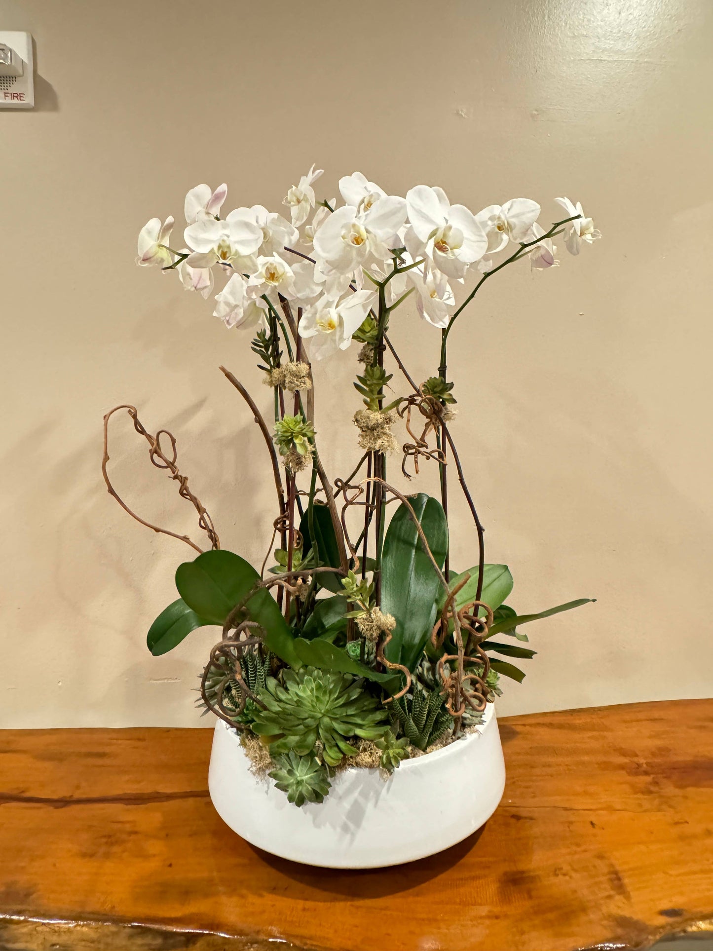36" Real Touch Phalaenopsis Orchid-Large Bloom 9 Flowers