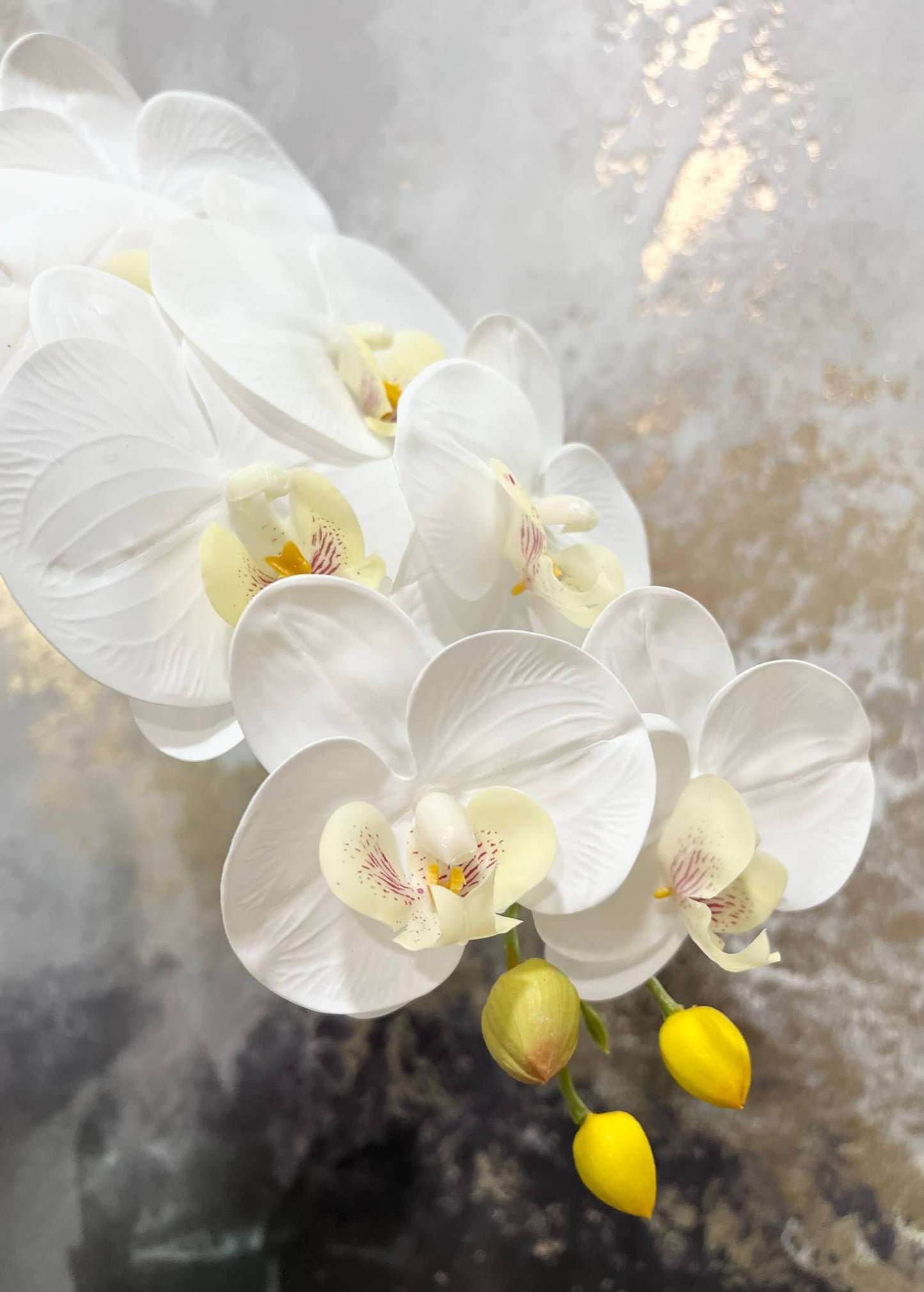 36" Real Touch Phalaenopsis Orchid-Large Bloom 9 Flowers