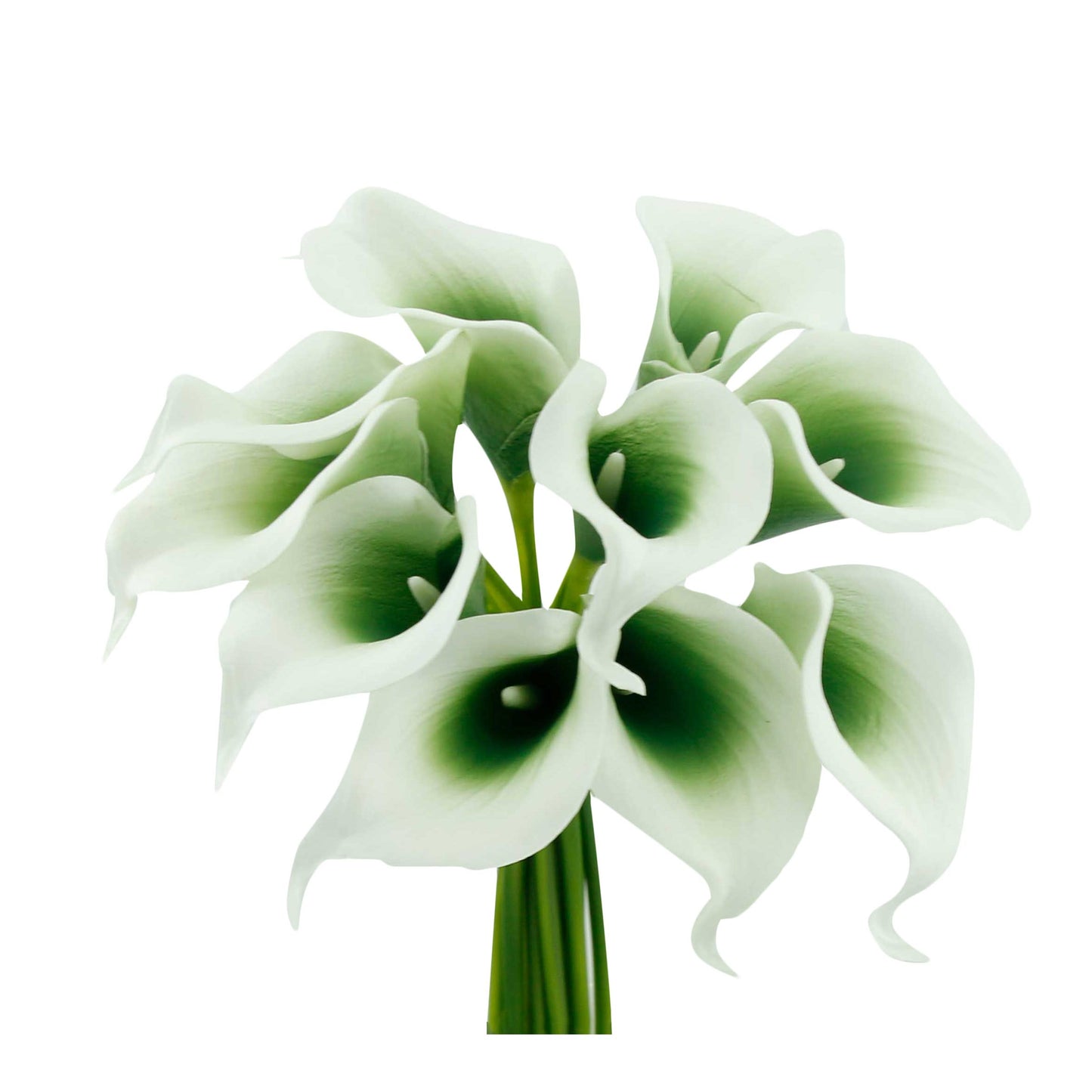 Pack of 10-real touch calla lily green color palette
