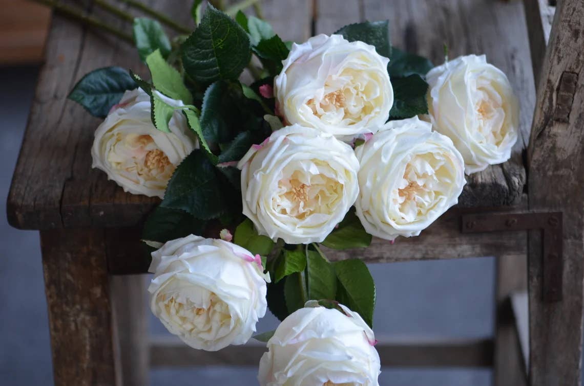 30" 3-Head Real touch English Austin Cabbage Rose Stem