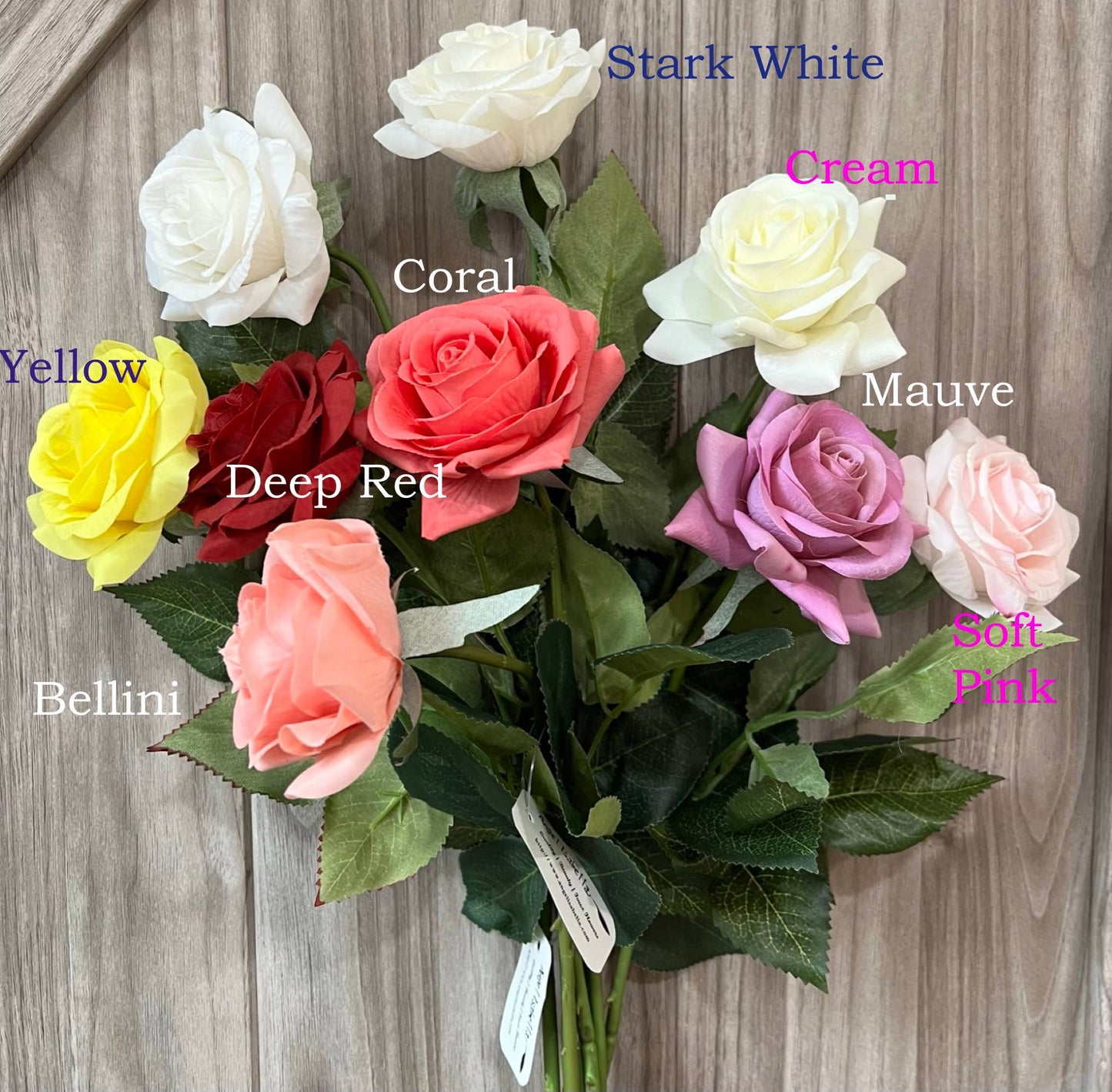 17"Medium bloom rose stem-Moisturized Coating Fresh-Cut Fee