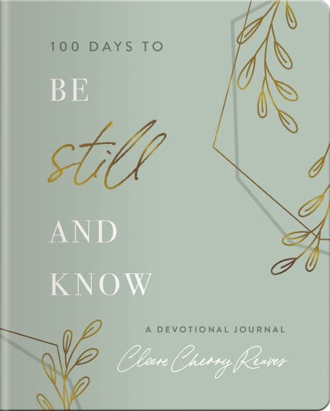 100 Days To Be Still And Know