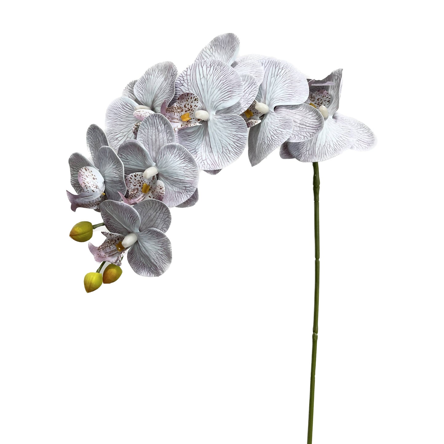 36" Real Touch Phalaenopsis Orchid-Large Bloom 9 Flowers