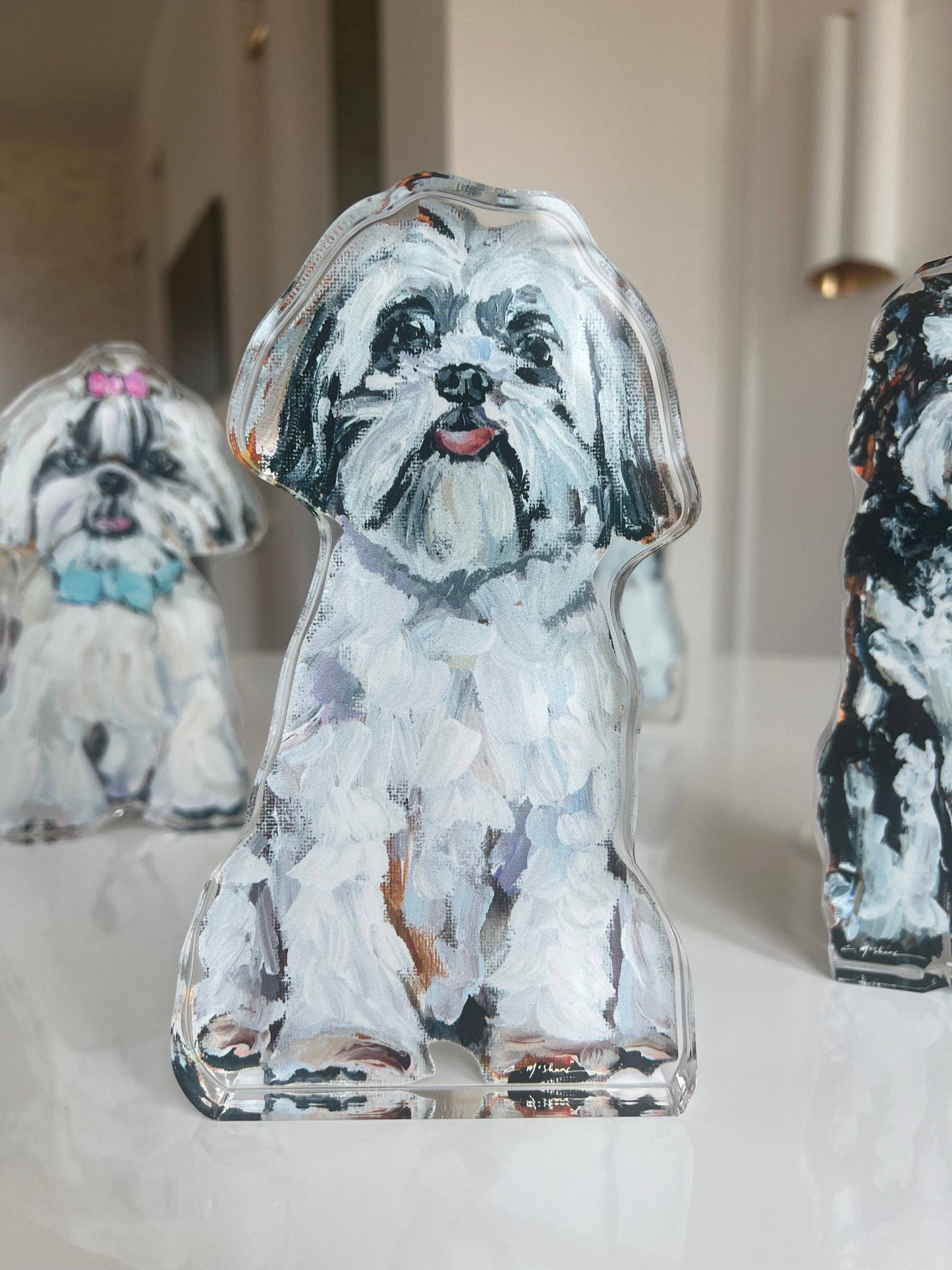 "Shih Tzu White" acrylic shelfie