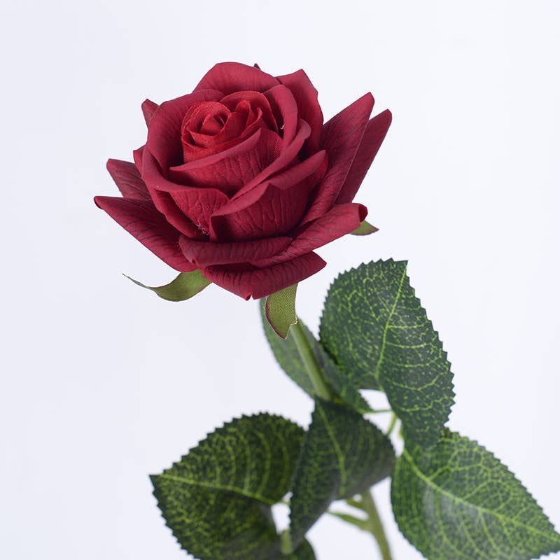 17"Medium bloom rose stem-Moisturized Coating Fresh-Cut Fee