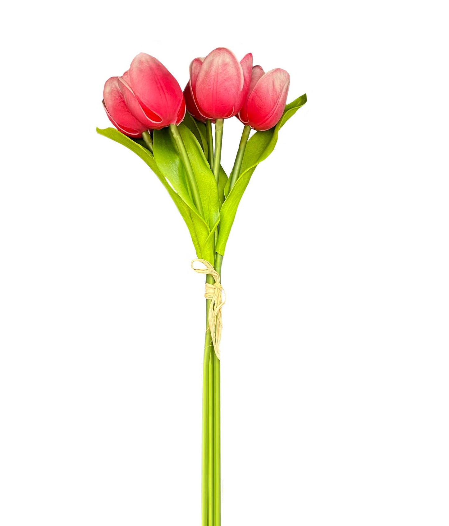 Pack of 5-stems Real Touch medium open tulip