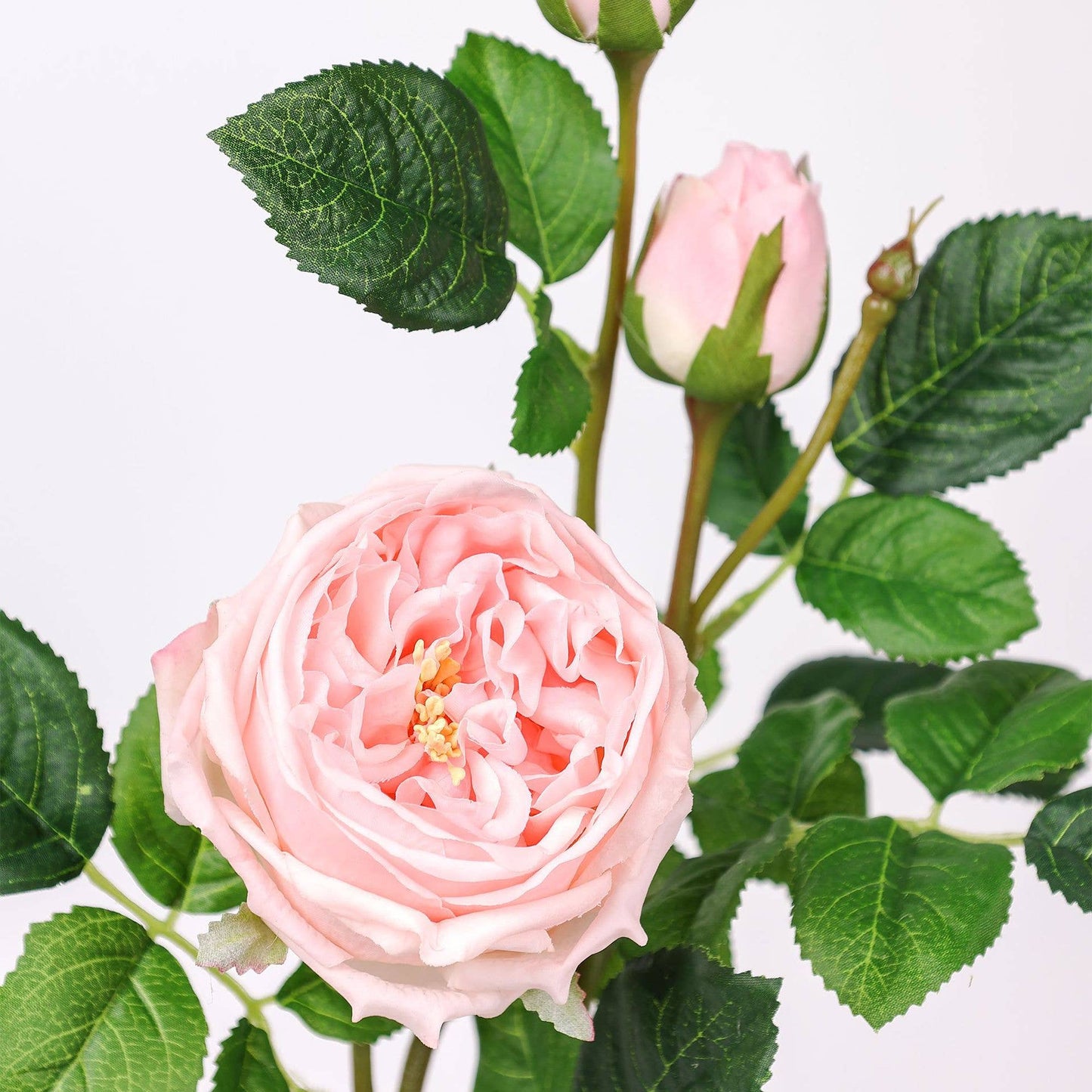 30" 3-Head Real touch English Austin Cabbage Rose Stem