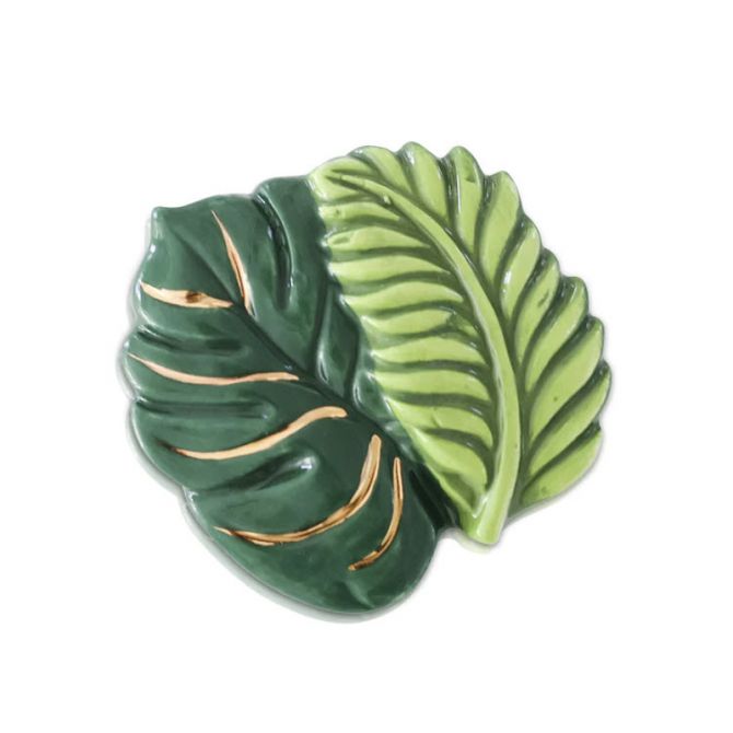 Best Ferns Forever NF