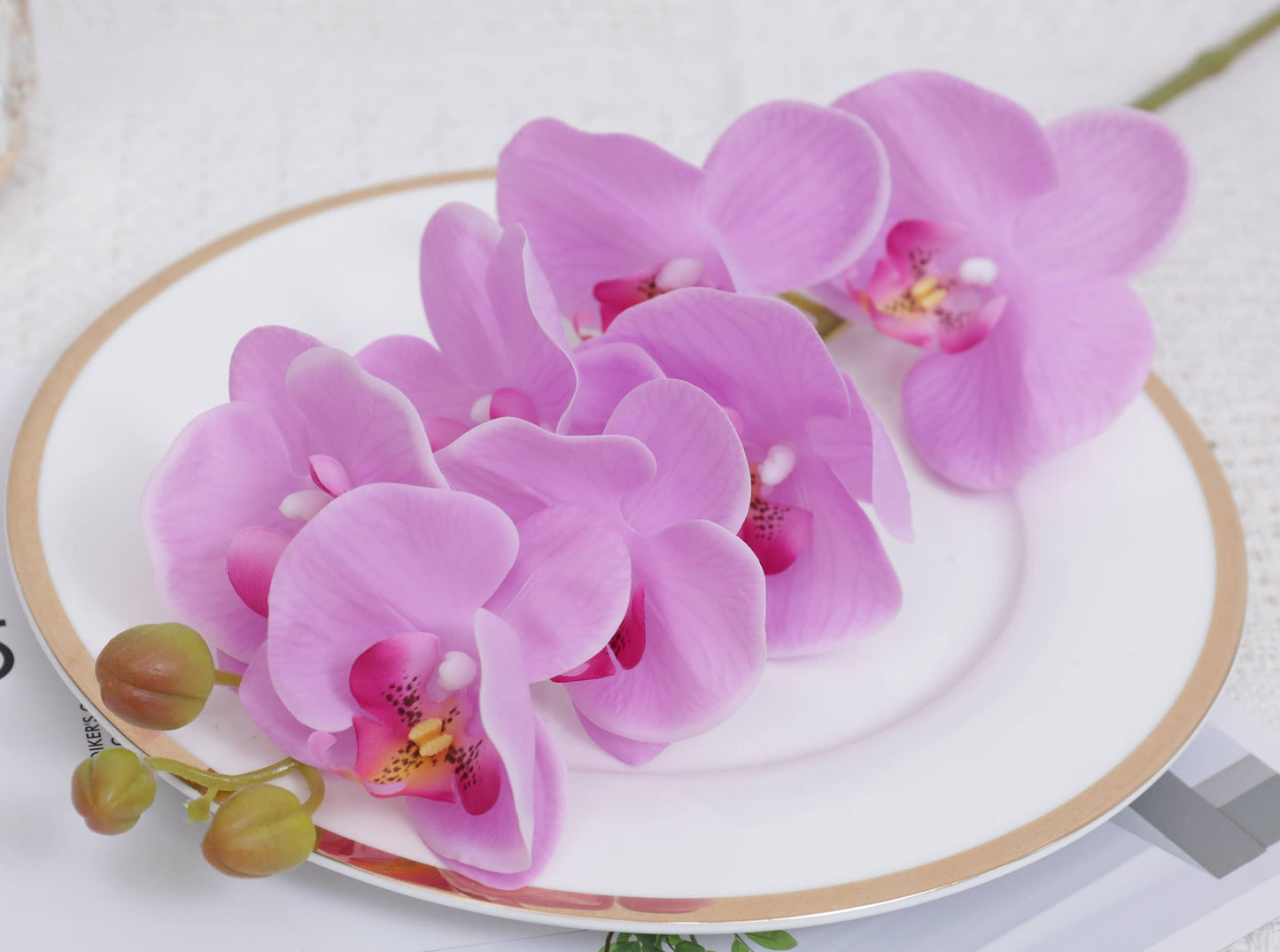 Lifelike Real Touch Phalaenopsis Orchid