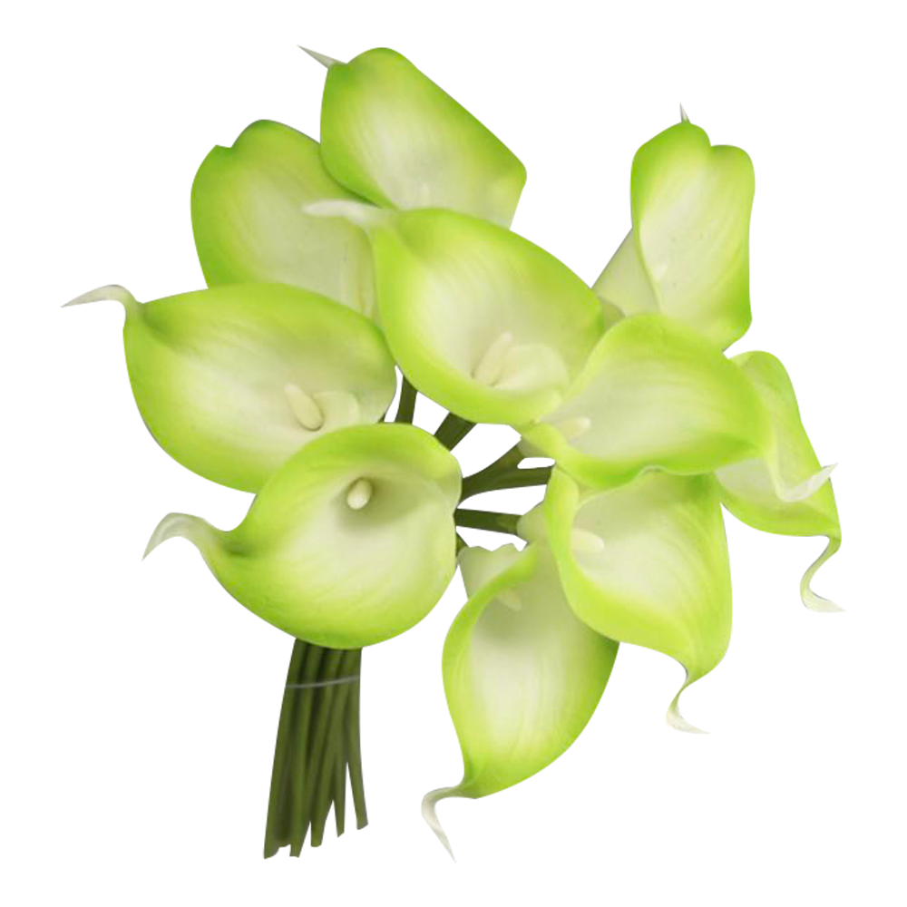 Pack of 10-real touch calla lily green color palette