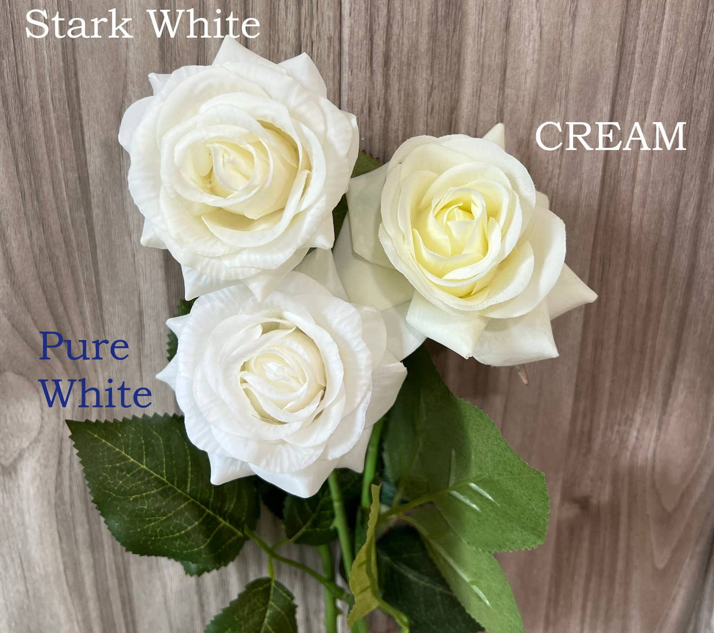 17"Medium bloom rose stem-Moisturized Coating Fresh-Cut Fee