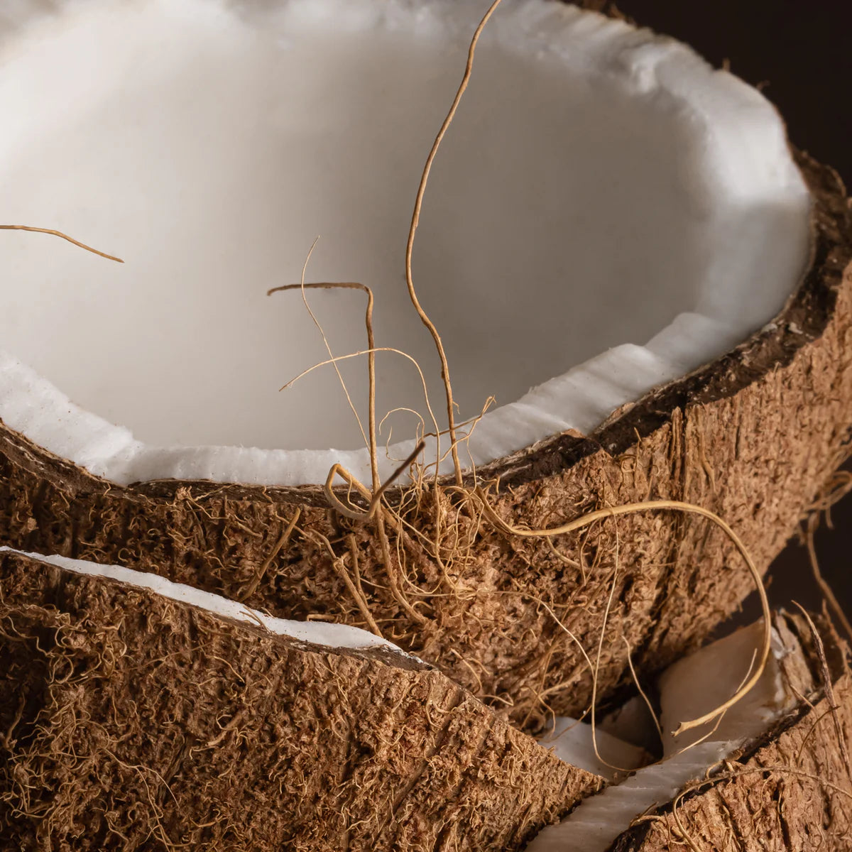 Coconut Calm by Becki Owens | Car Diffuser Refill