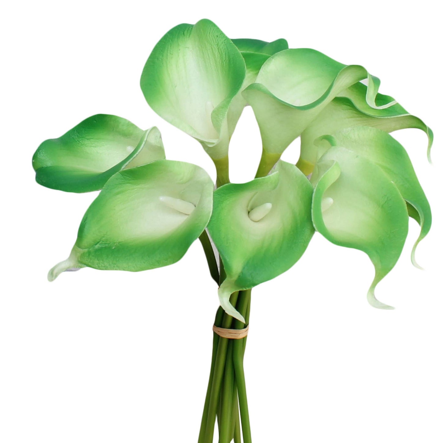 Pack of 10-real touch calla lily green color palette