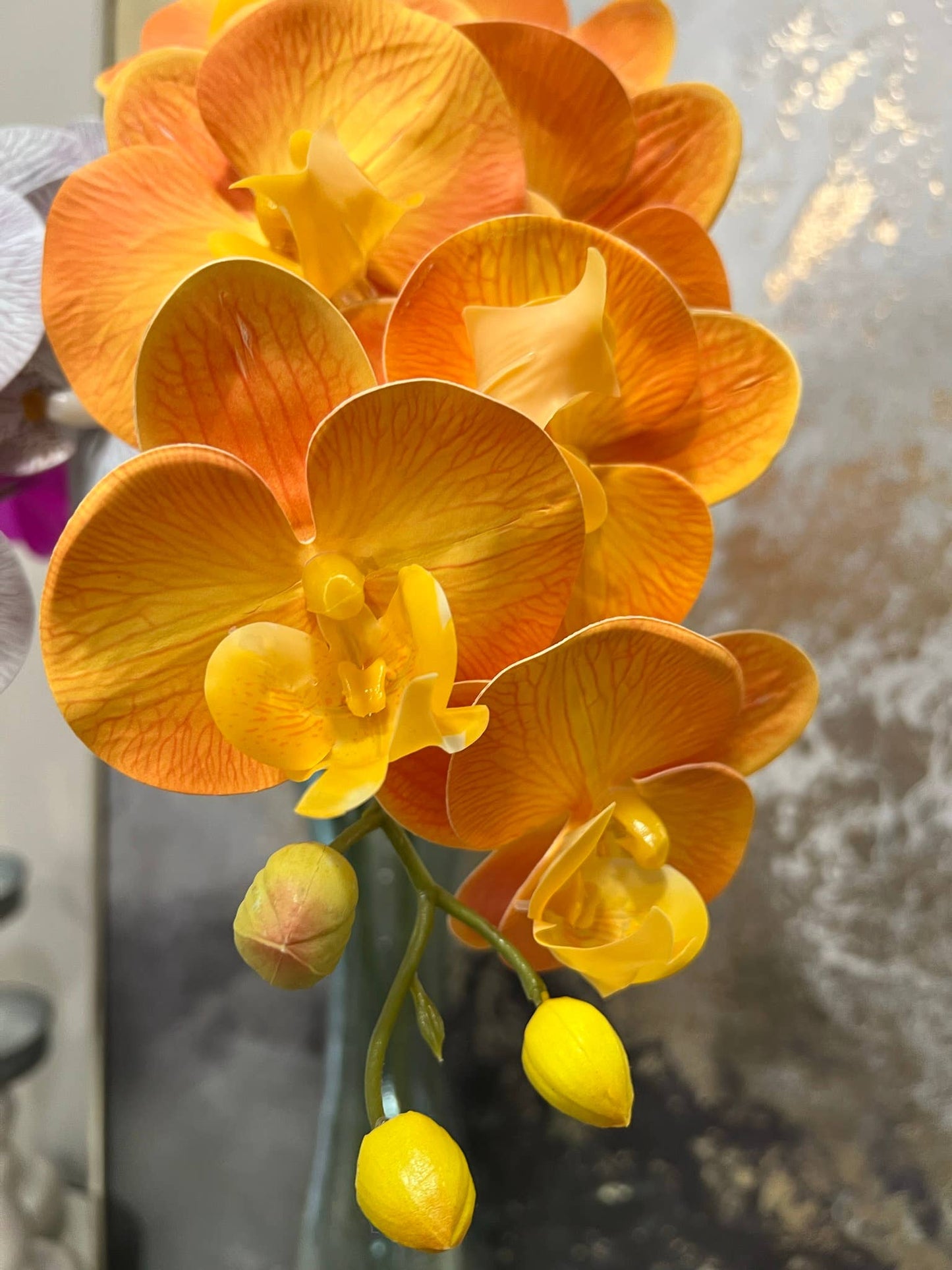 36" Real Touch Phalaenopsis Orchid-Large Bloom 9 Flowers
