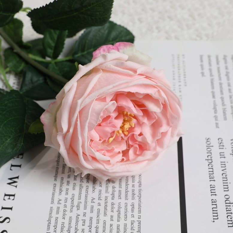 17" Premium Real Touch English Austin Cabbage Rose Stem