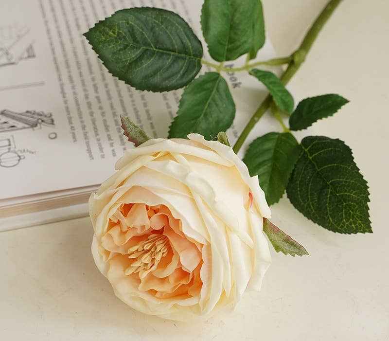 17" Premium Real Touch English Austin Cabbage Rose Stem