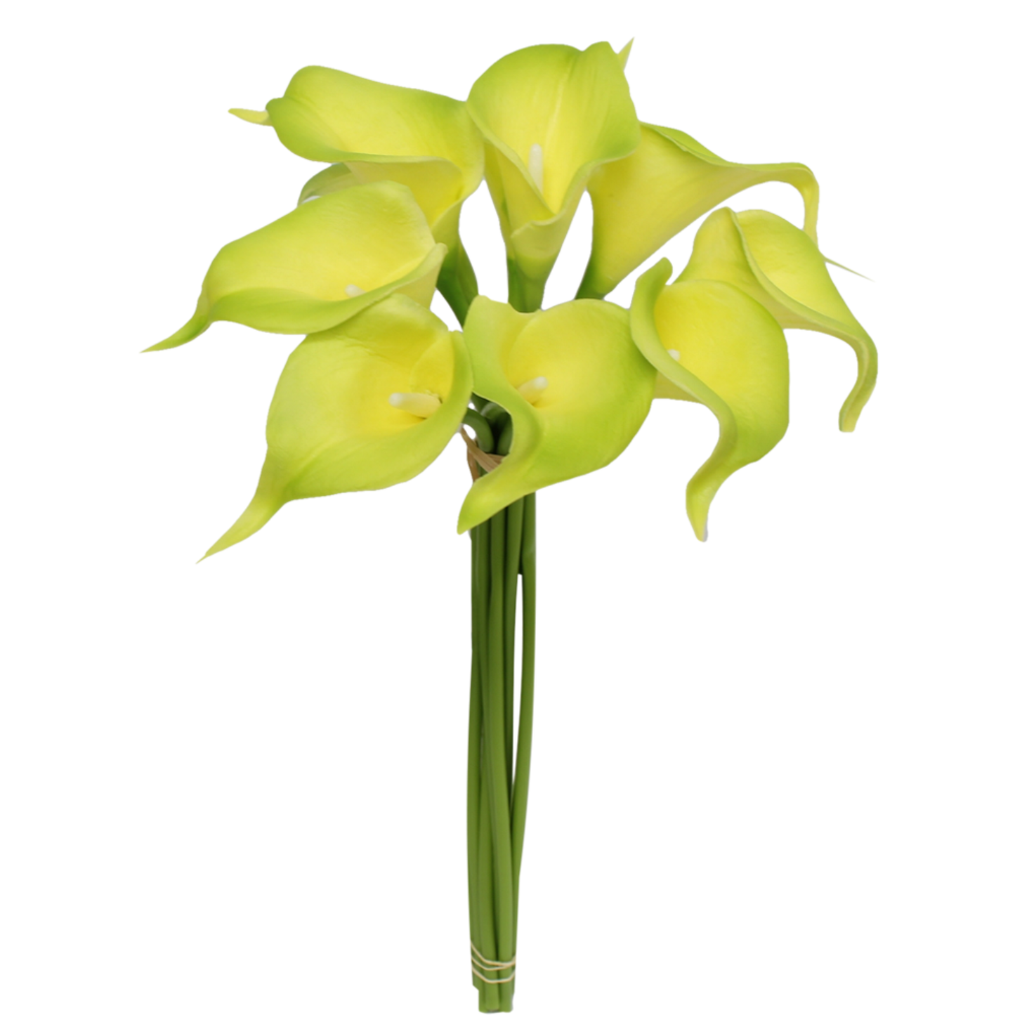 Pack of 10-real touch calla lily green color palette