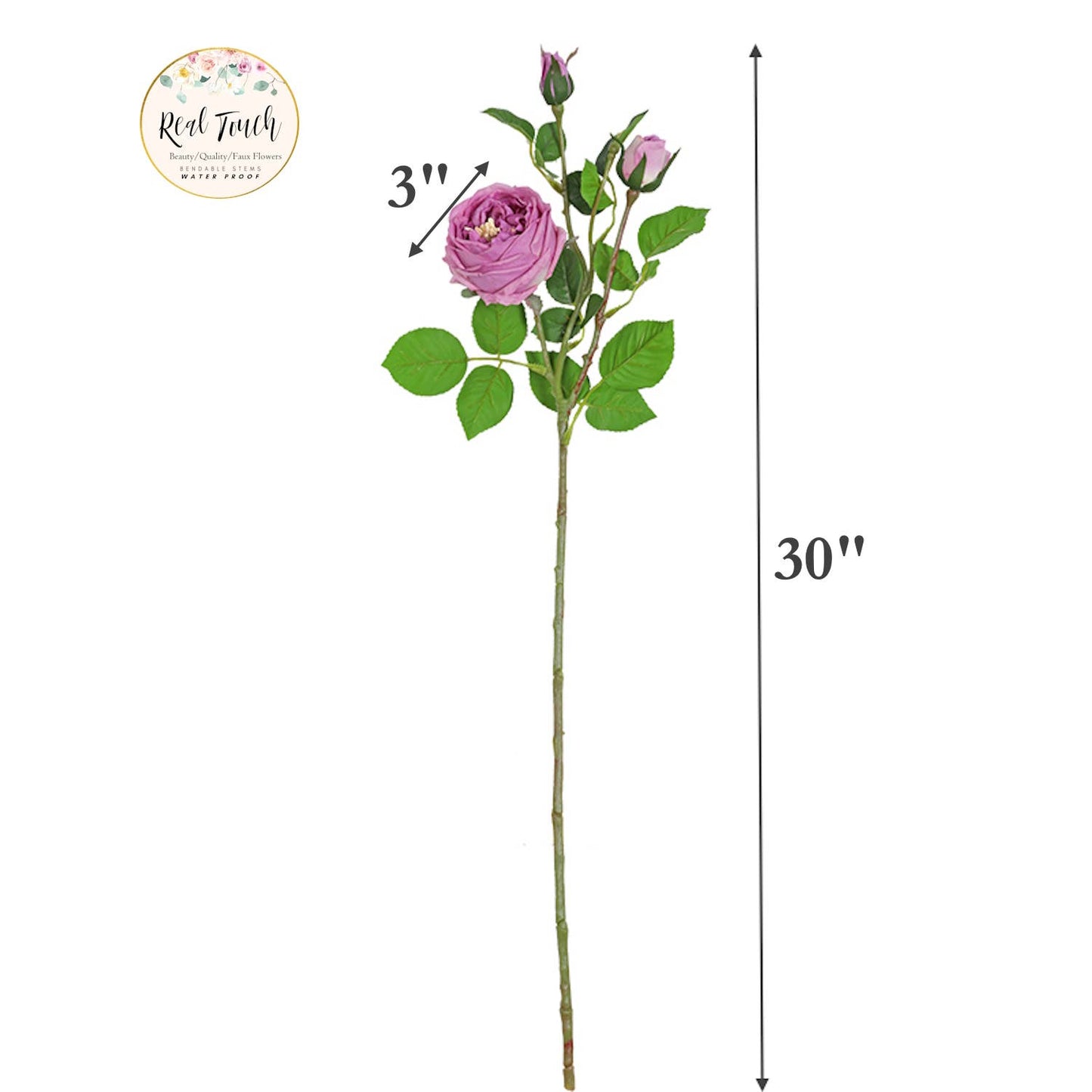 30" 3-Head Real touch English Austin Cabbage Rose Stem