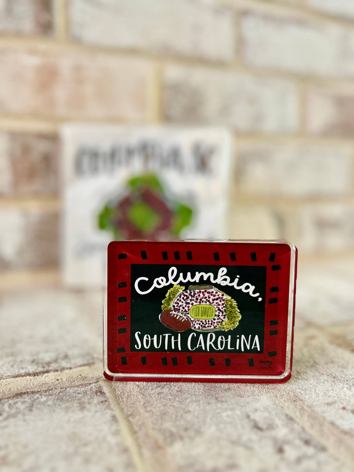 Columbia, SC Stadium Sitter