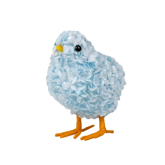 Hydrangea Chicks