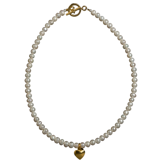 Baby Bird Necklace with Gold Heart