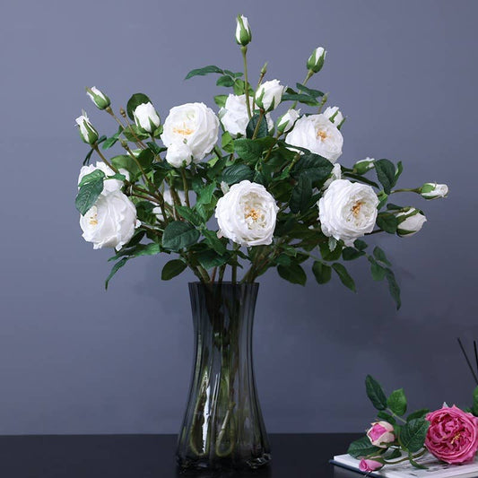 30" 3-Head Real touch English Austin Cabbage Rose Stem