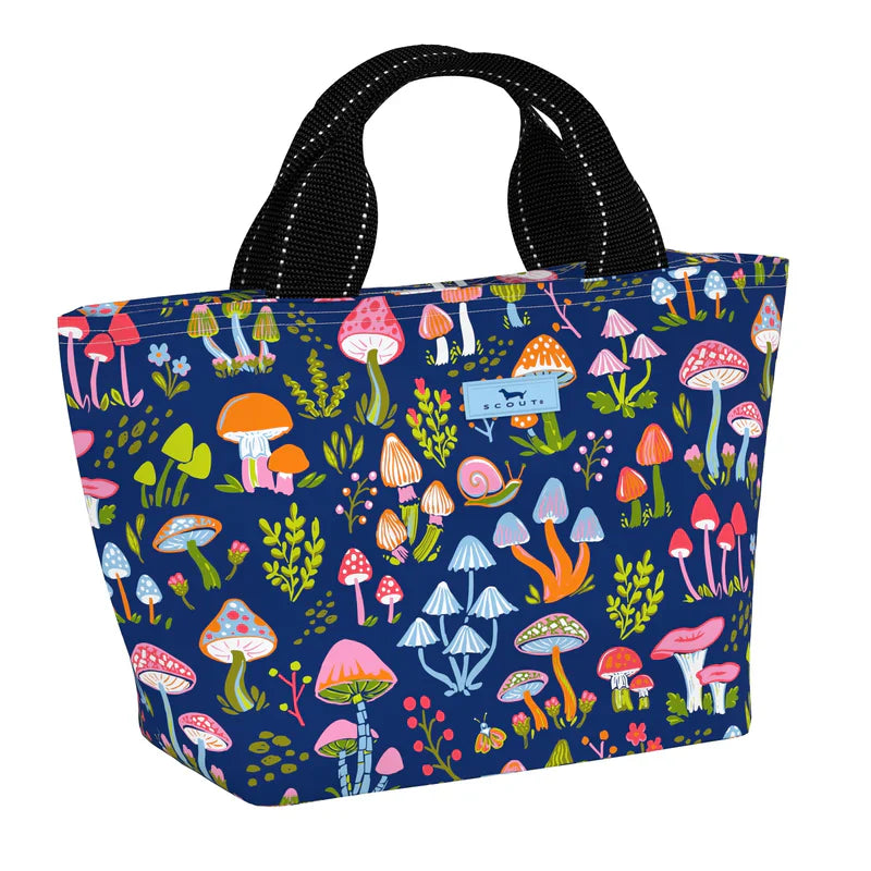 Nooner Lunch Box | Scout
