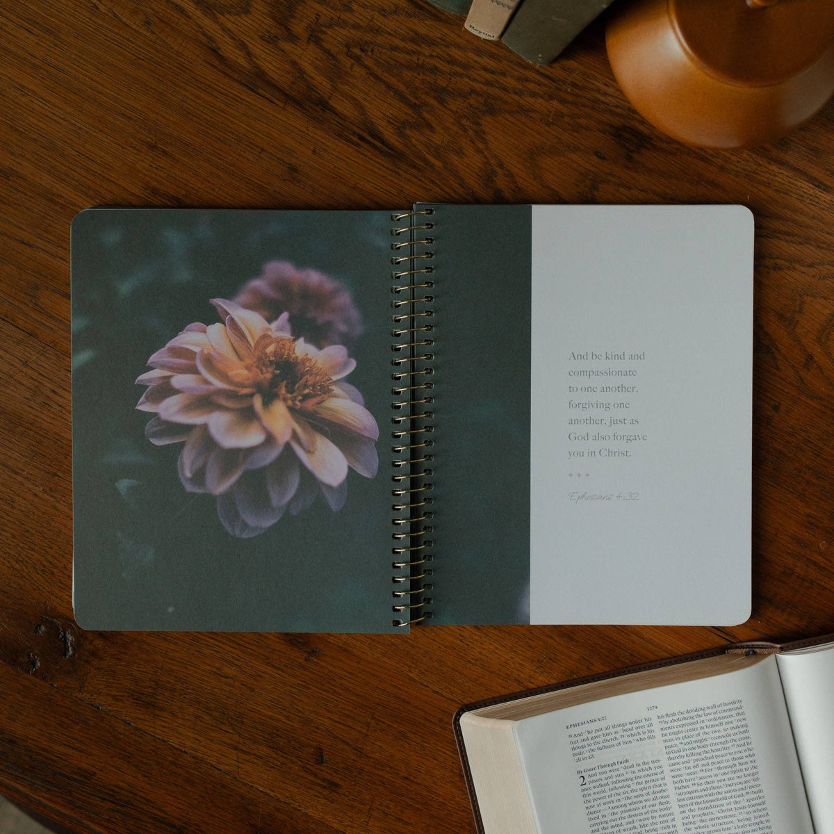 Chosen Spiral Bible Study