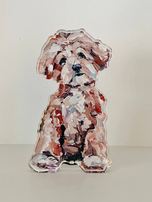 Maltipoo Apricot Acrylic Shelfie