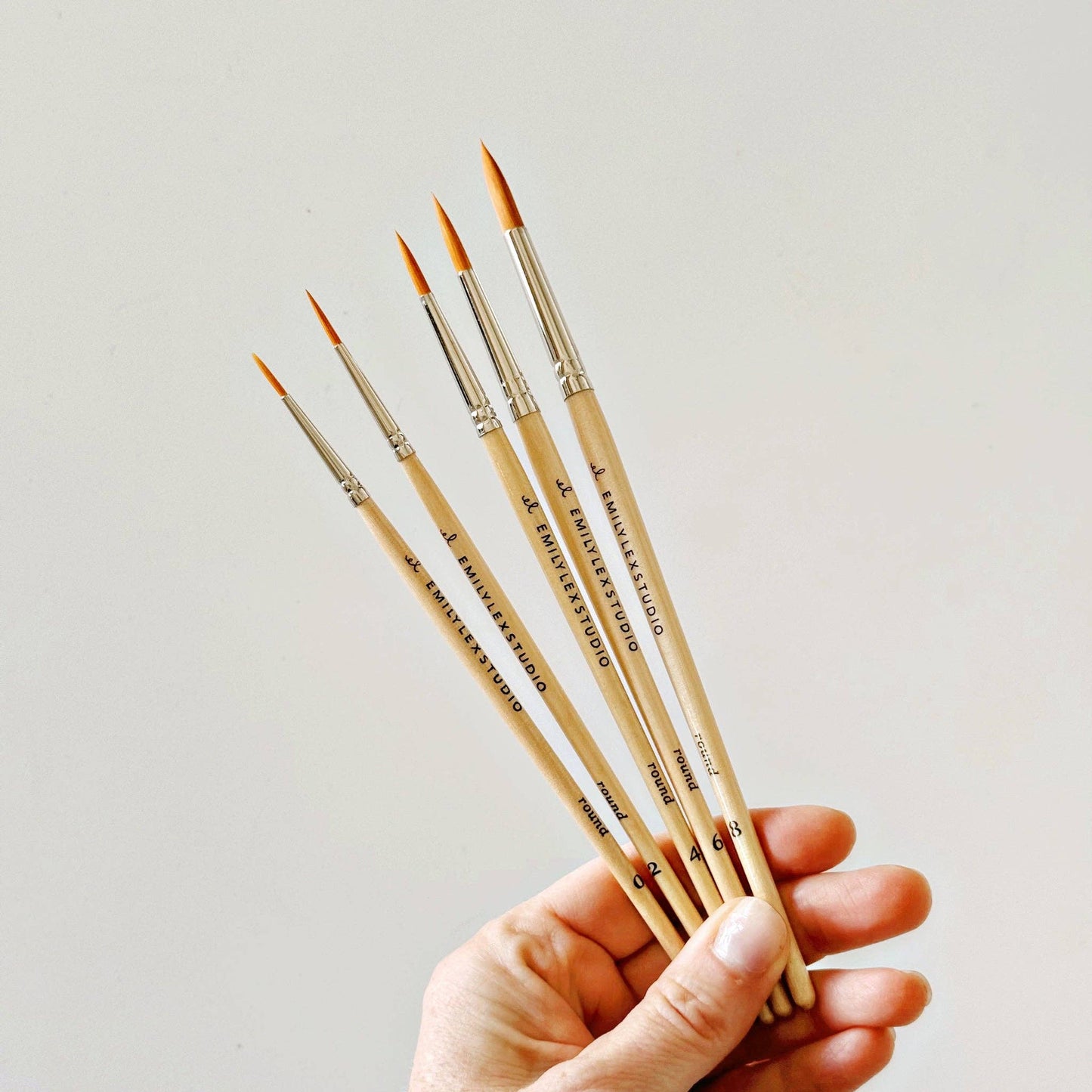 Watercolor Paintbrush Set of 5 Wood Brushes