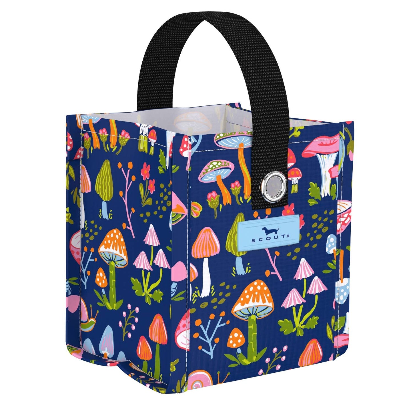 Mini Package | Scout