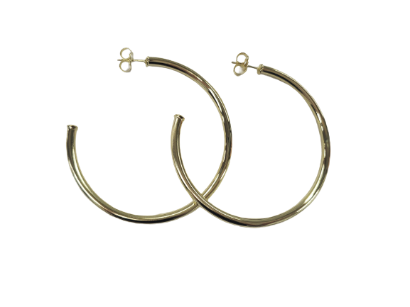 Everybody's Favorite Hoop Earrings