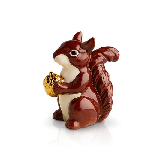 Mr. Squirrel NF