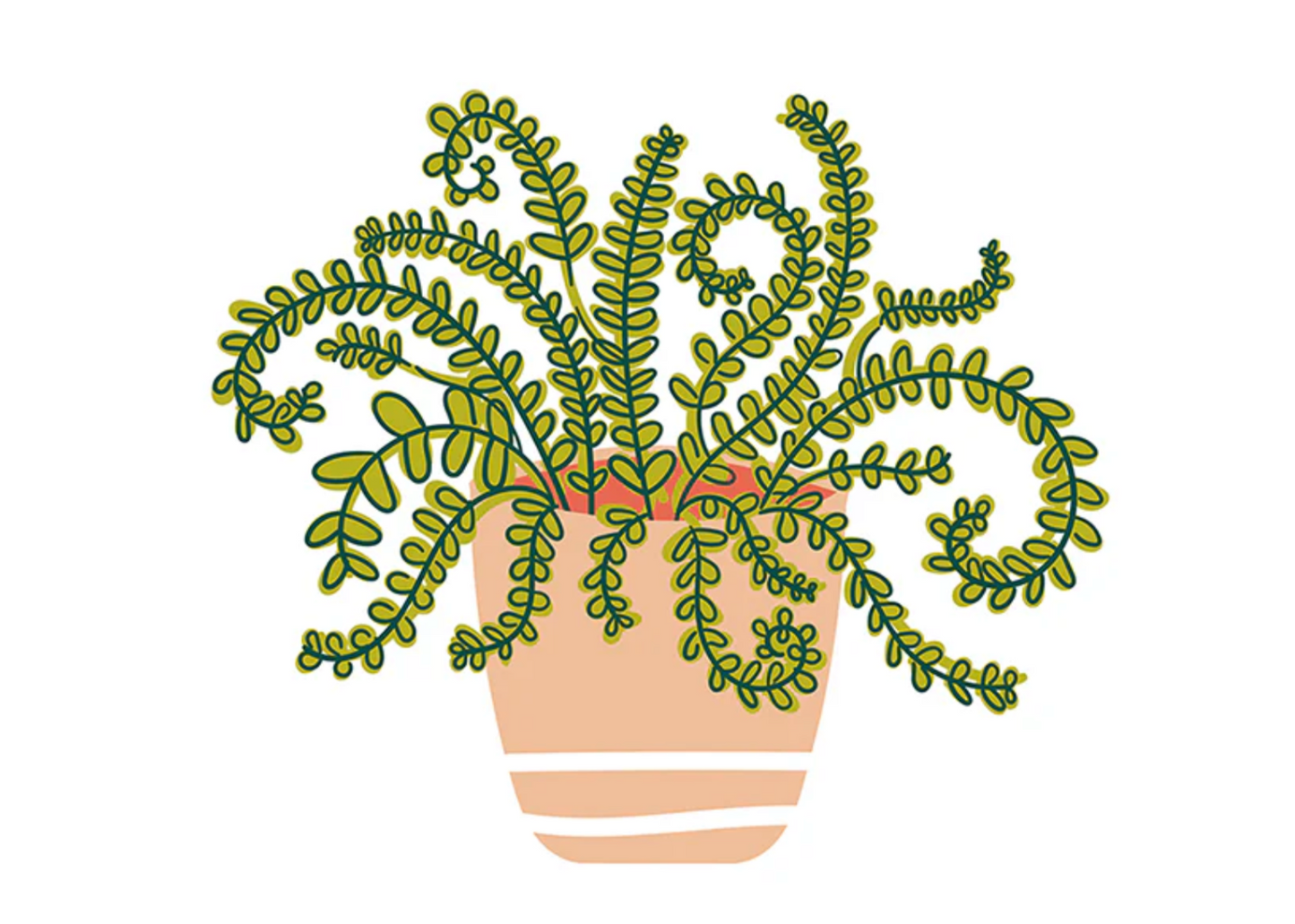 House Plant Attachment | Happy Everything