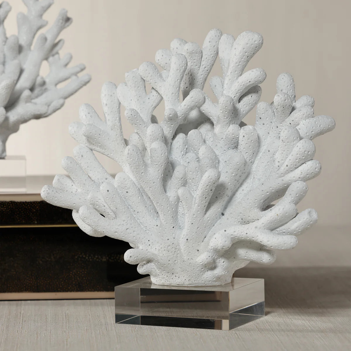 9.5" White Resin Coral with Acrylic Base