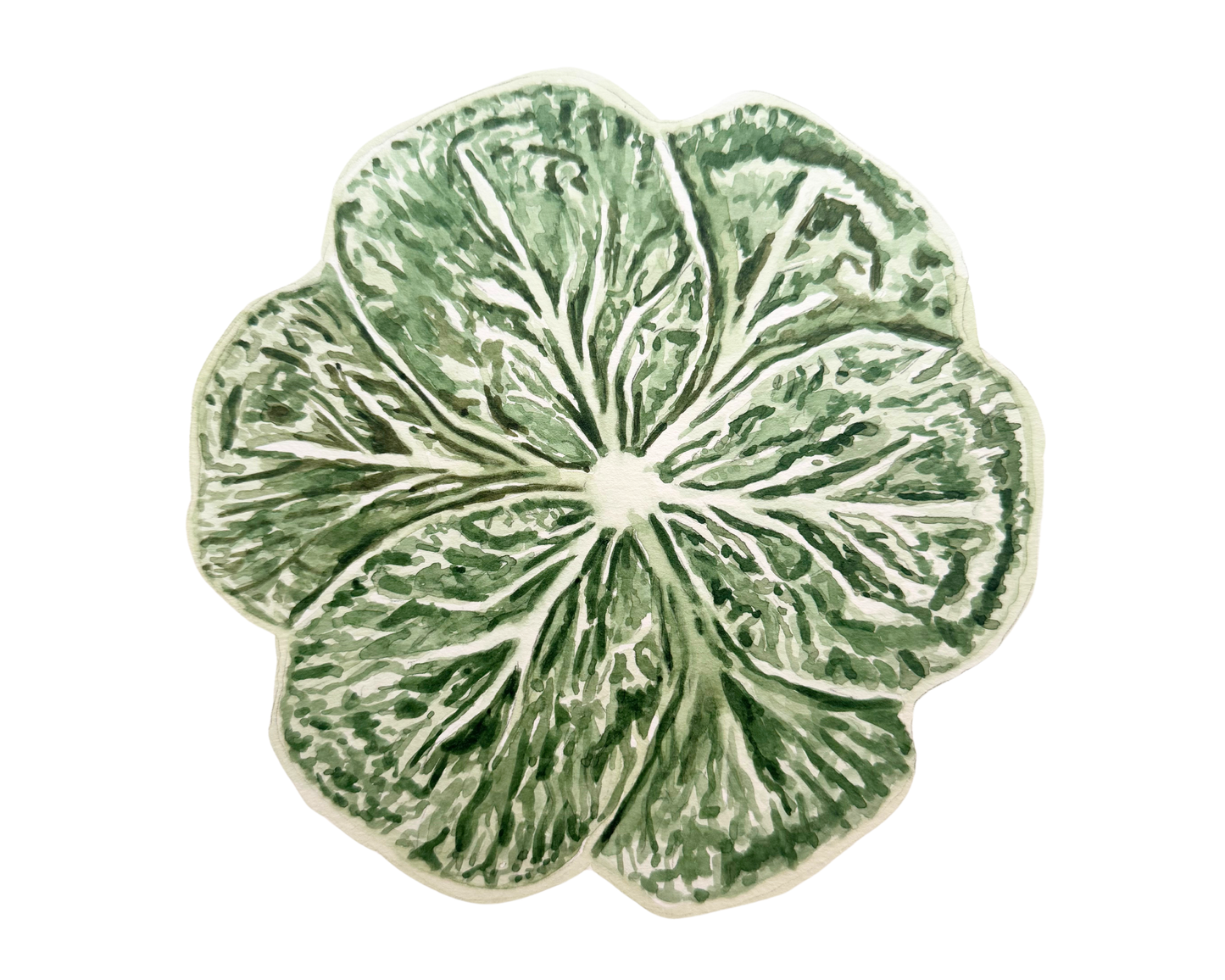 Cabbage Art Print