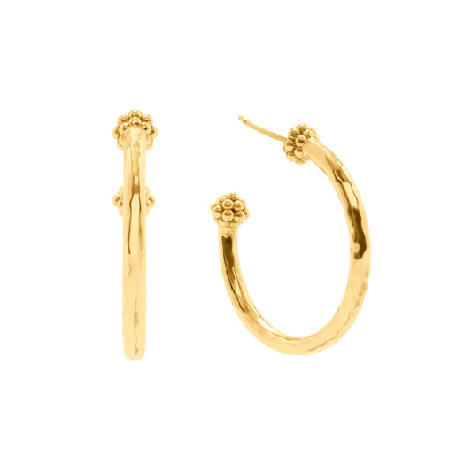 Berry Slice Medium Hoops - Gold