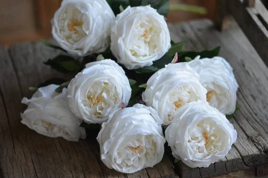 17" Premium Real Touch English Austin Cabbage Rose Stem